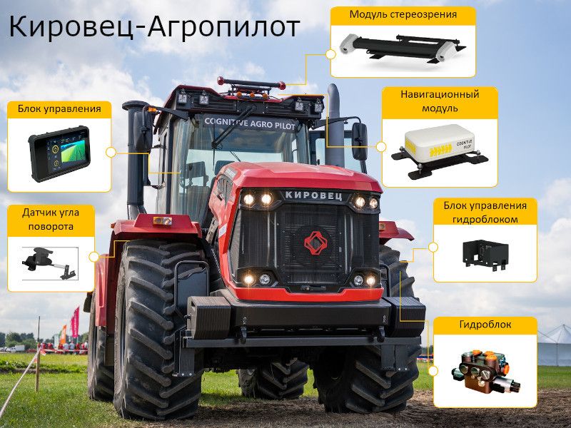 когнитив когнитив_800.jpg